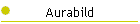 Aurabild